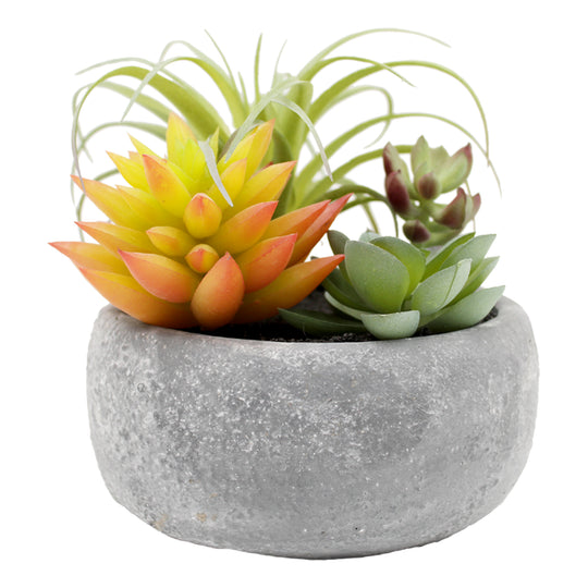 PLANT ARTIFICIAL POTTED SUCCULENT ASRT WHITE