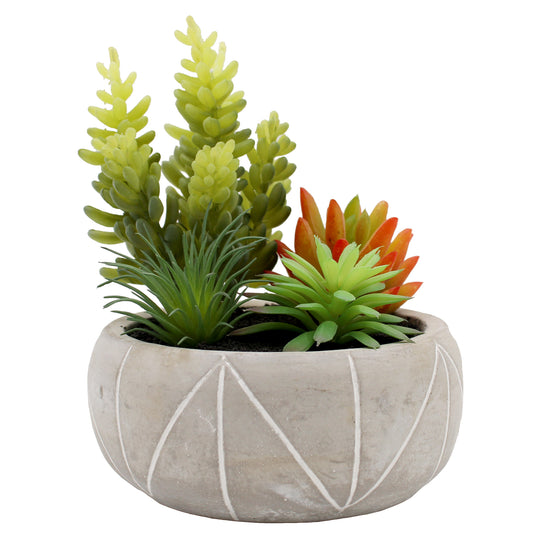 PLANT ARTIFICIAL POTTED SUCCULENT ASRT WHITE
