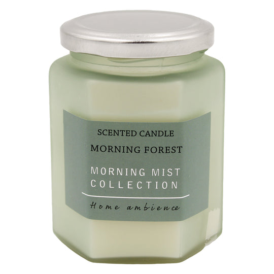 CANDLE SCENTED JAR LIN/ICE/MIST - MORNING FOREST