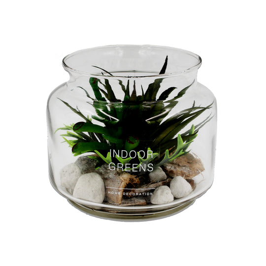 PLANT SUCCULLENT IN JAR 3