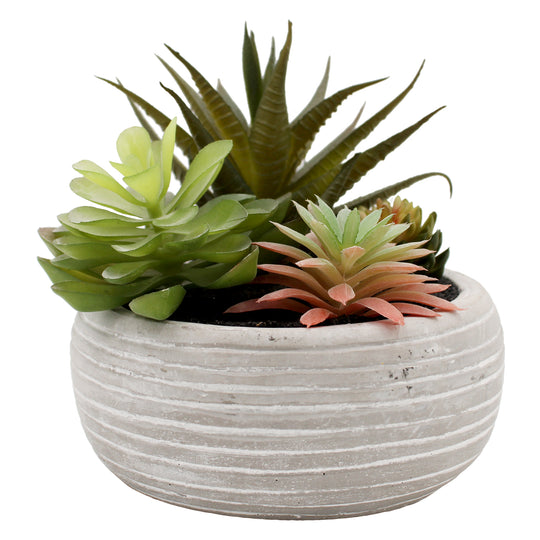 PLANT ARTIFICIAL POTTED SUCCULENT ASRT WHITE