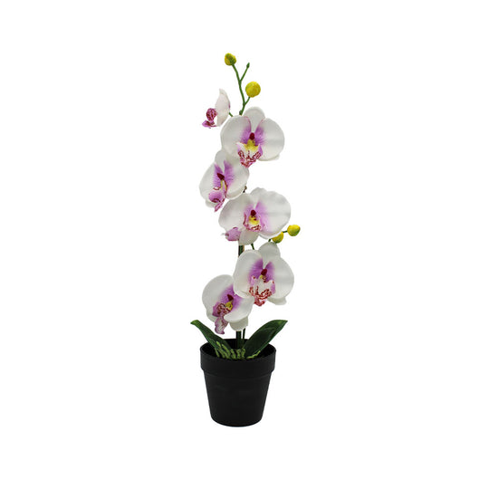 ORCHID ARTIFICIAL | 20X10X4.7CM | WHITE/PURPLE