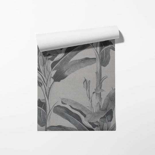 WD082B | PLANTATIONS | NICKEL