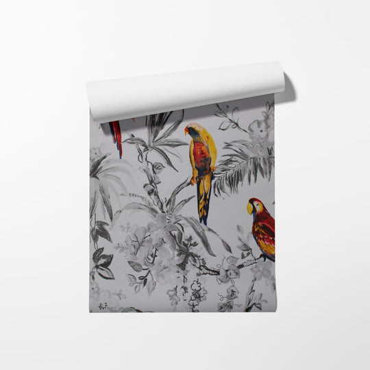 WZ032A | POLLYANNA | SCARLETT